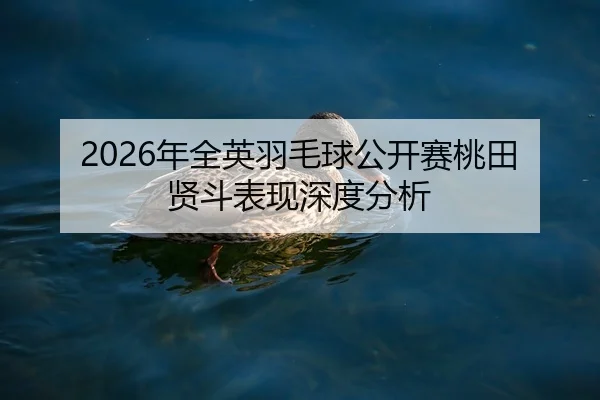 nian-quan-ying-yu-mao-qiu-gong-kai-sai-tao-tian-xian-dou-biao-xian-shen-du-fen-xi-2-324.jpg