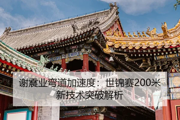 xie-zhen-ye-wan-dao-jia-su-du-shi-jin-sai-mi-xin-ji-shu-tu-po-jie-xi-2-865.jpg